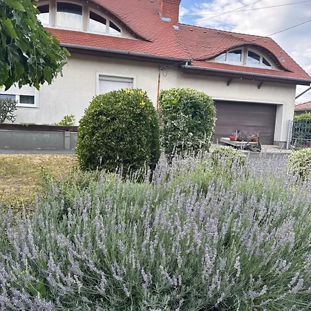 Apartamento Luca 1.